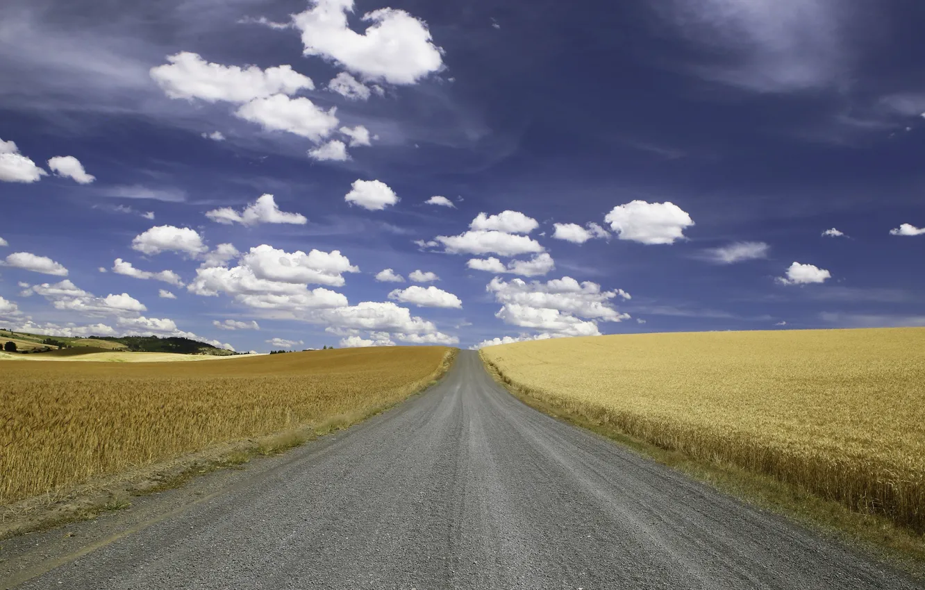 Фото обои road, clouds, wheat, countryside, farm, wheat field, sunny, farmland