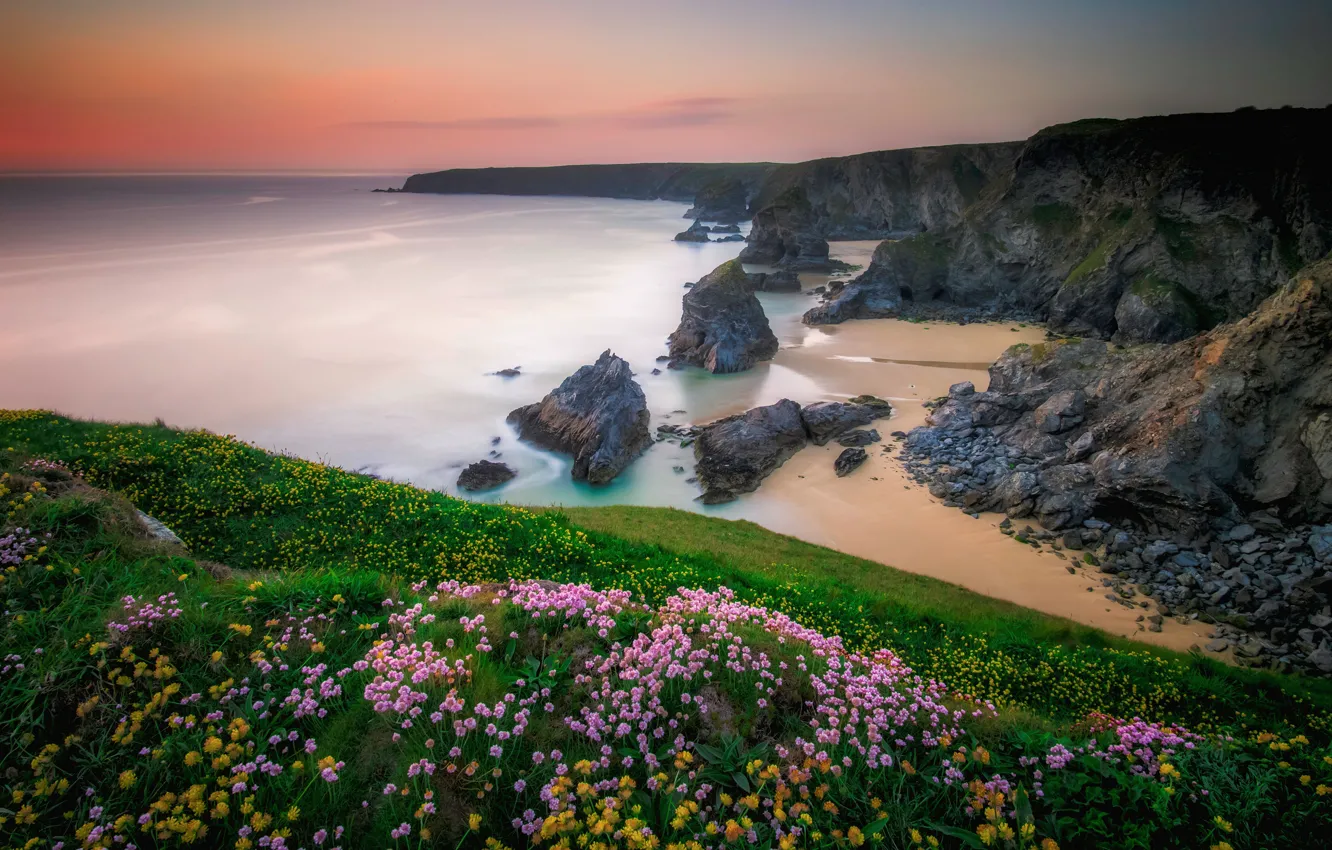 Фото обои море, цветы, скалы, берег, водоем