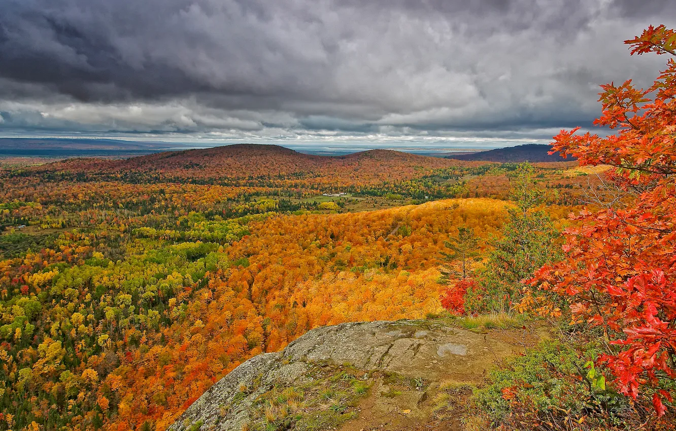 Фото обои осень, лес, небо, облака, деревья, горы, скалы