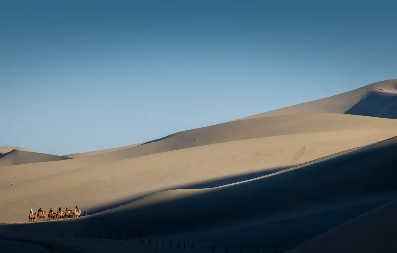 Фото обои Gobi Desert, Crescent Lake, Camel caravan, Mingsha Shan, Mondsichelsee, Yueya Quan