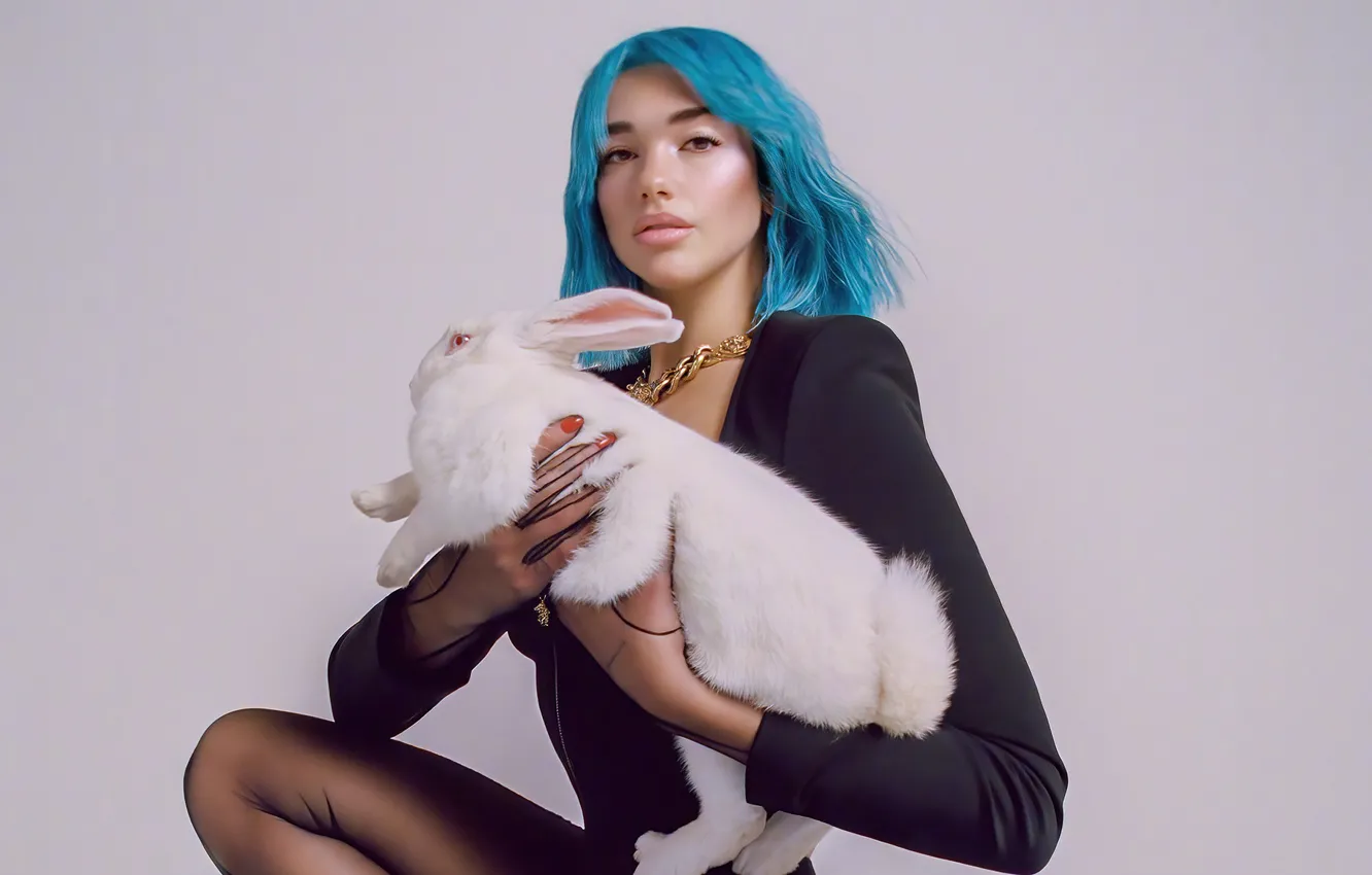 Фото обои взгляд, девушка, украшения, фото, кролик, певица, Dua Lipa