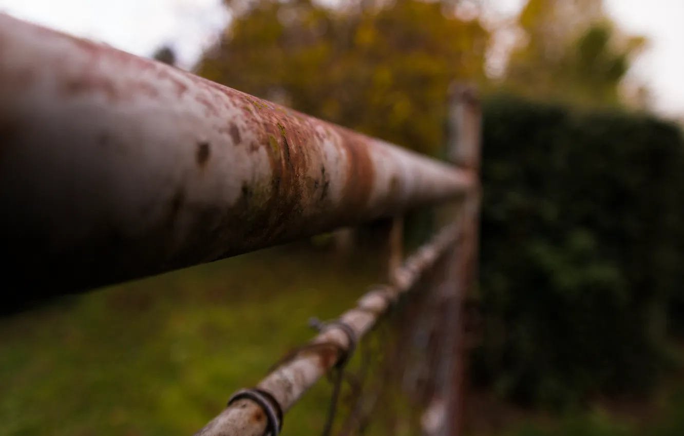 Фото обои Metal, Autumn, Garden, Fence, Rusty