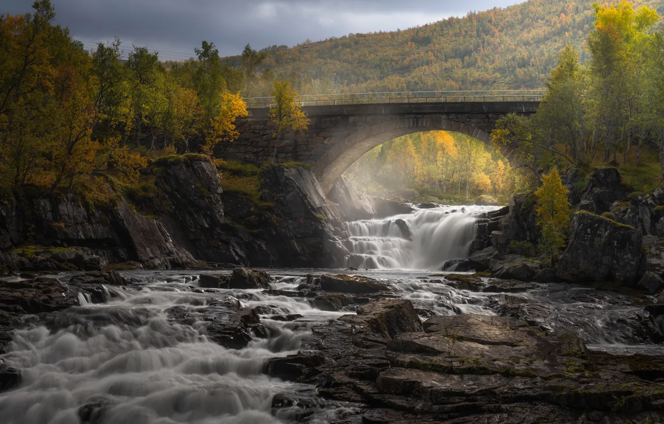 Фото обои осень, лес, деревья, мост, река, водопад, каскад