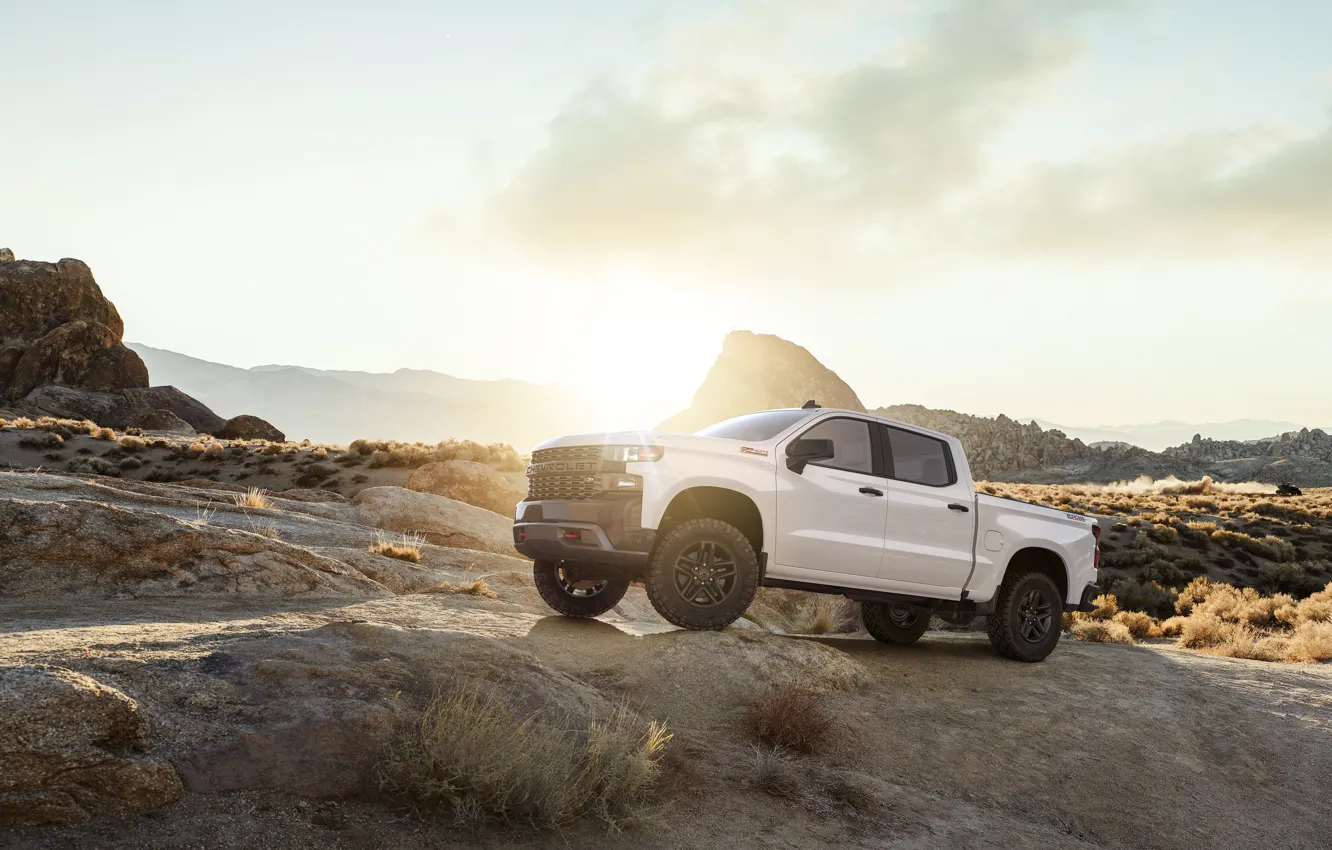 Фото обои White, Truck, Silverado, Z71, Pick Up, Chevroet, 2019