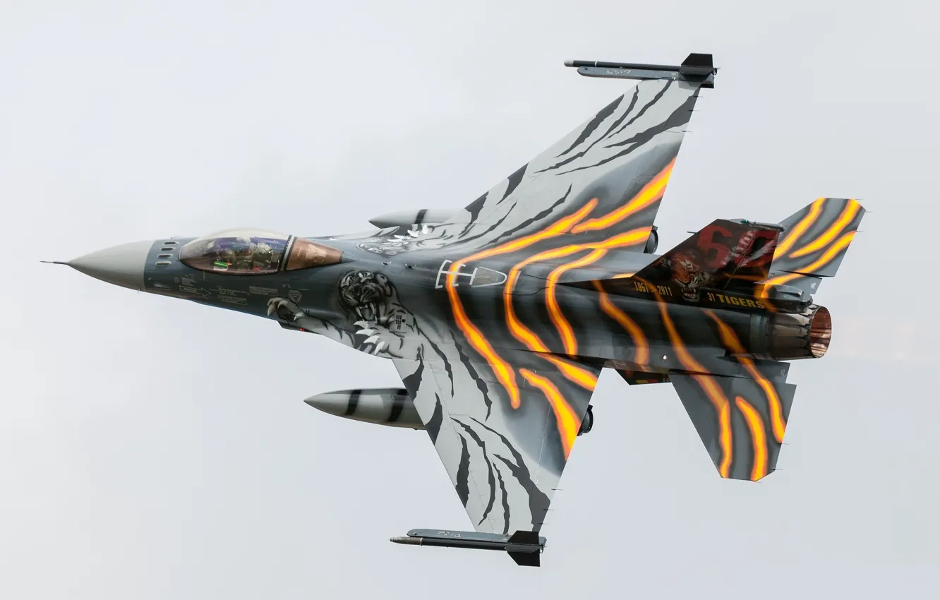 Фото обои тигр, тюнинг, боевой самолёт, General Dynamics F-16AM Fighting Falcon