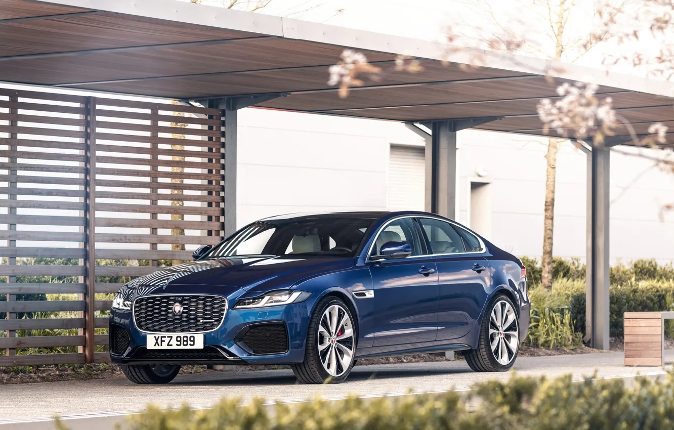Фото обои синий, растительность, Jaguar, седан, Jaguar XF, 2020, XF