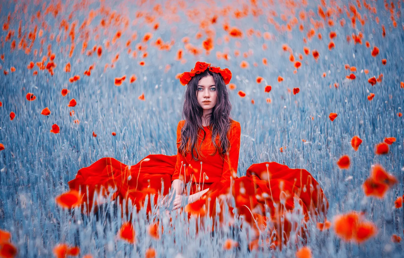 Фото обои поле, девушка, цветы, маки, красное платье, венок, Кристина Макеева