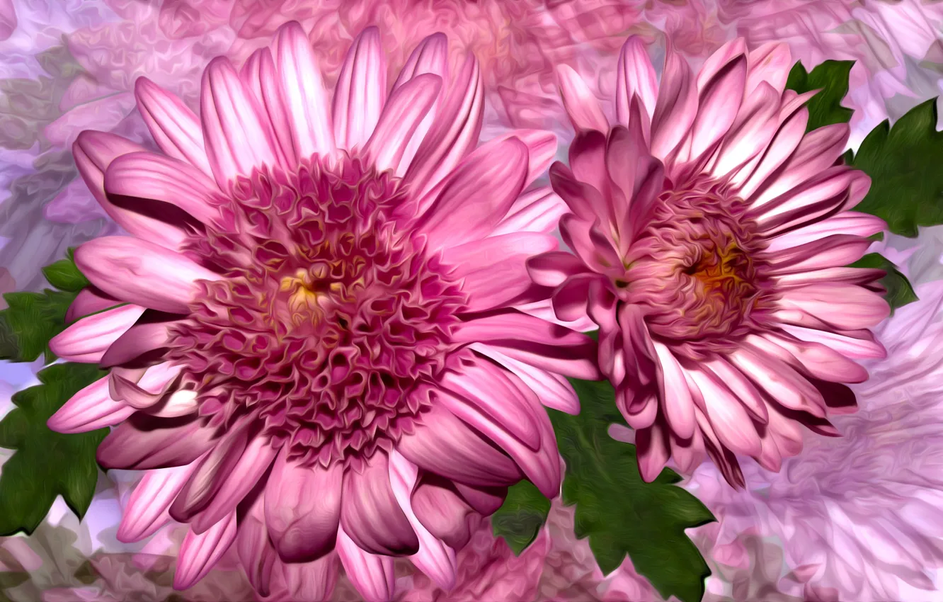 Фото обои grafika, kolor, kwiaty