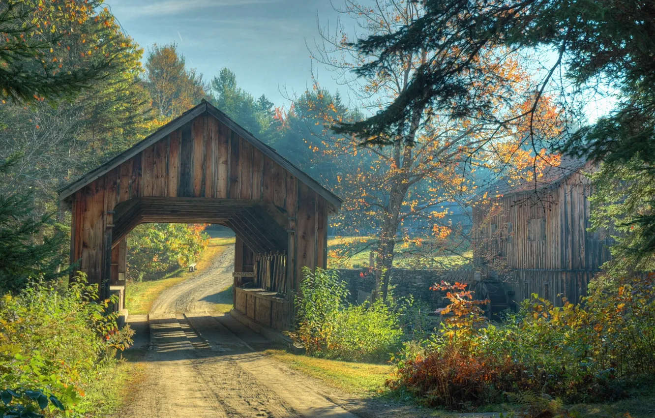 Фото обои дорога, осень, лес, деревья, мост, Природа