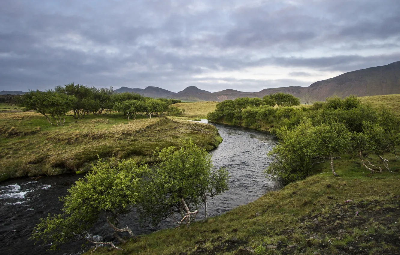 Фото обои лето, деревья, река, холмы, Næfurholt, Южная Исландия