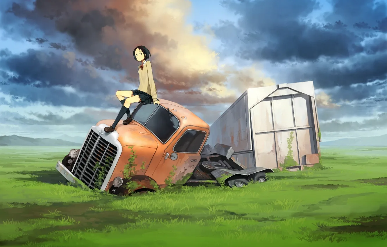 Фото обои поле, машина, авария, трава, облака, остов, арт, девочка