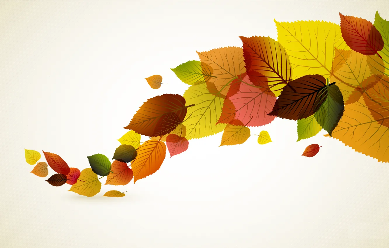Фото обои осень, листья, минимализм, вектор