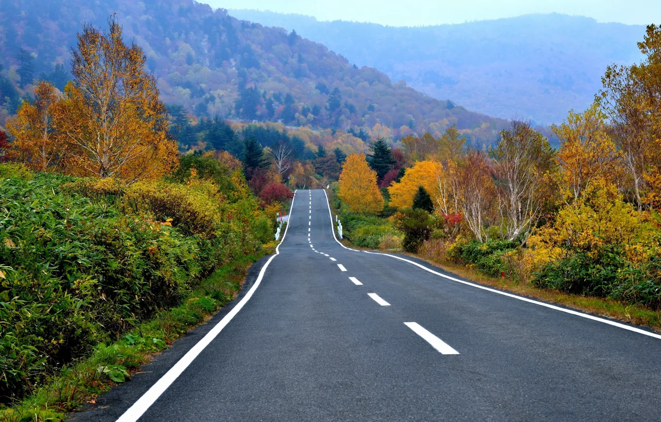 Фото обои дорога, осень, лес, деревья, горы, шоссе