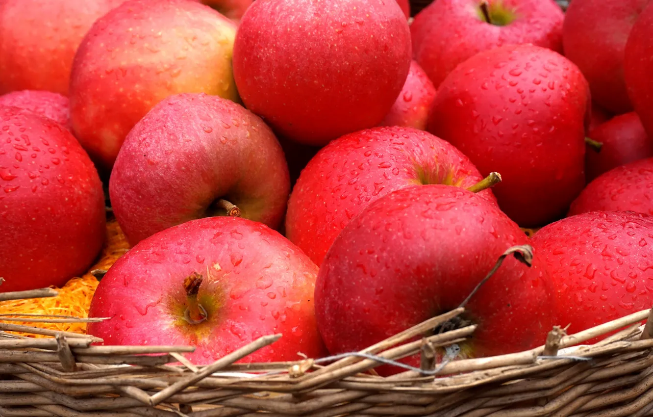 Фото обои капли, крупный план, корзина, яблоки, еда, урожай, красные, фрукты