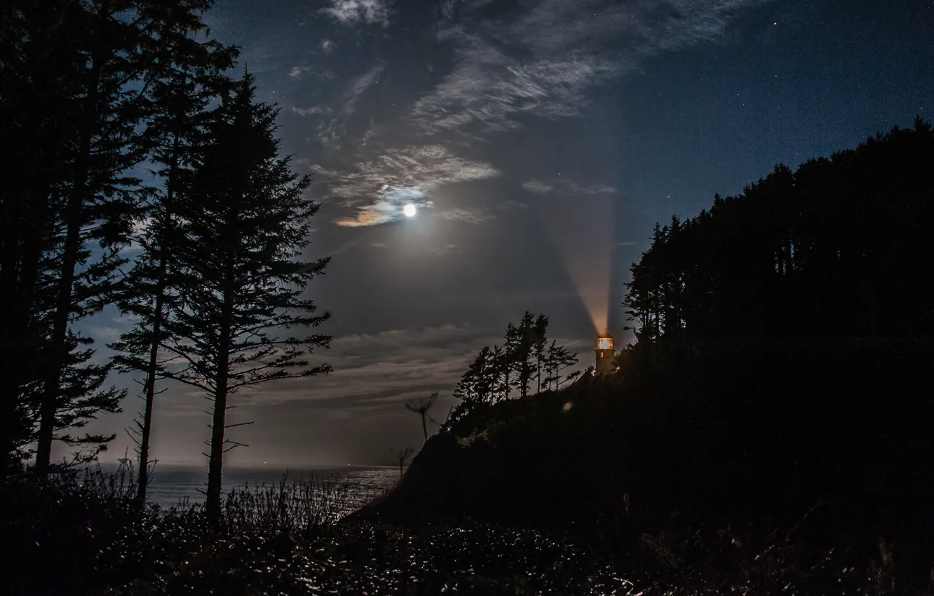 Фото обои море, небо, облака, деревья, ночь, скала, маяк, Луна