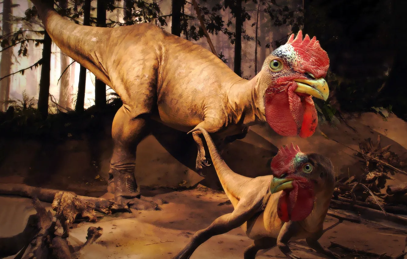 Фото обои dinosaur, rooster rex, invented