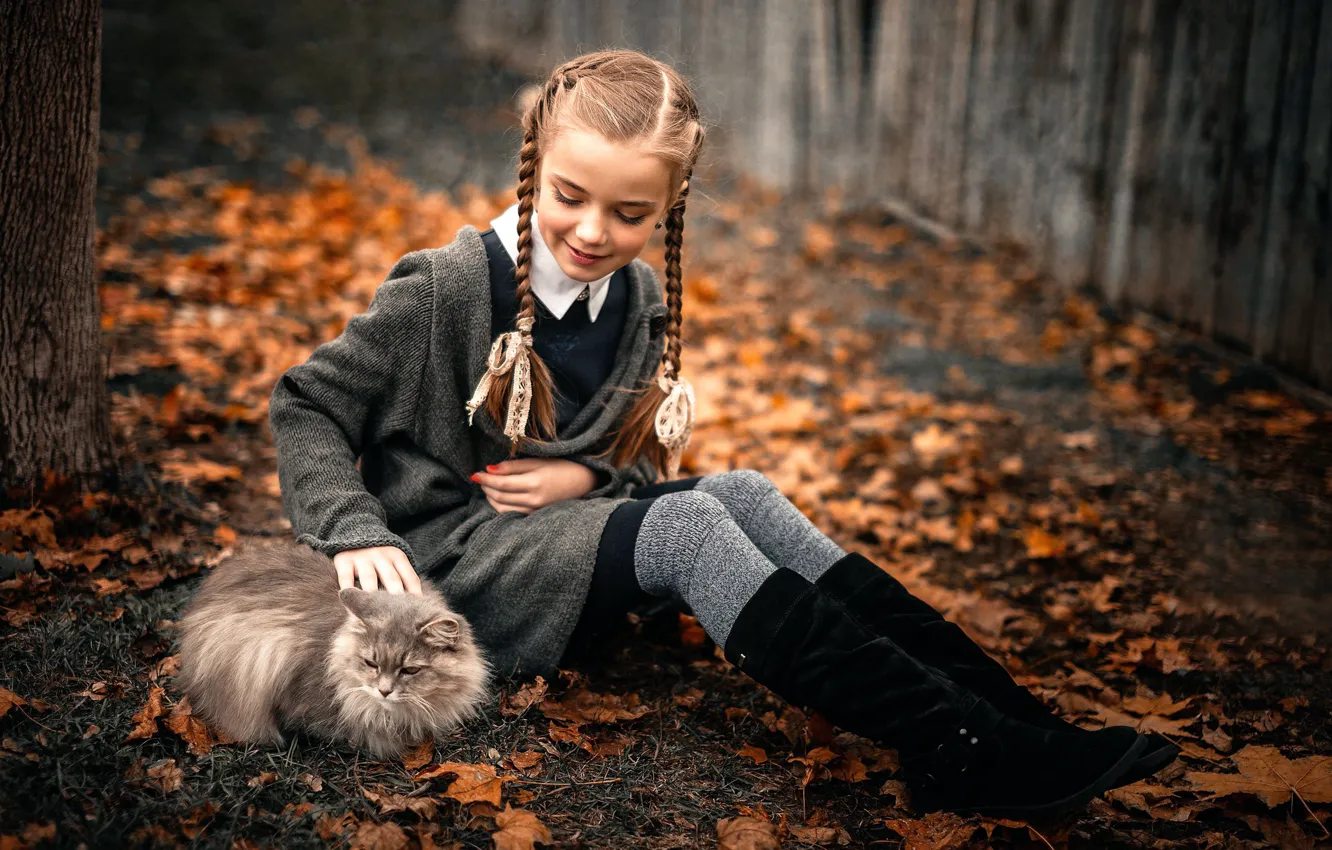 Фото обои осень, кошка, девочка, прелесть, Sergey Piltnik
