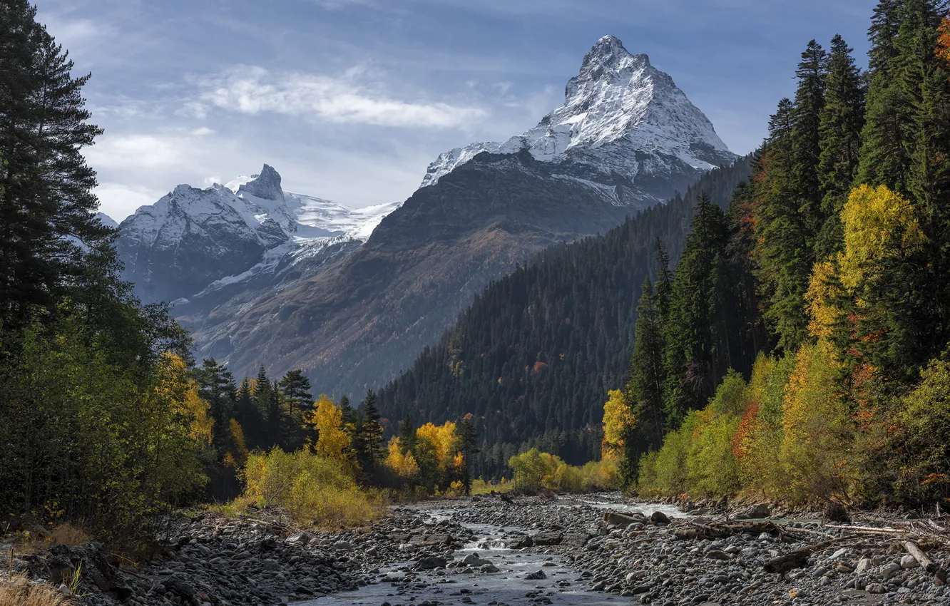 Фото обои осень, лес, горы, Кавказ, домбайское ущелье, Вершина Белалака