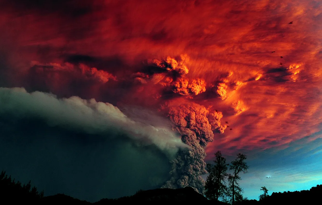 Фото обои деревья, пепел, Вулкан, извержение, красное небо