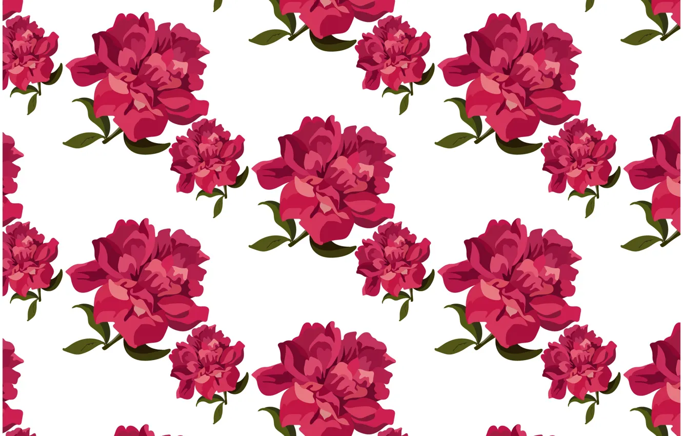 Фото обои белый, фон, розы, текстура, бутоны, Roses, background, pattern