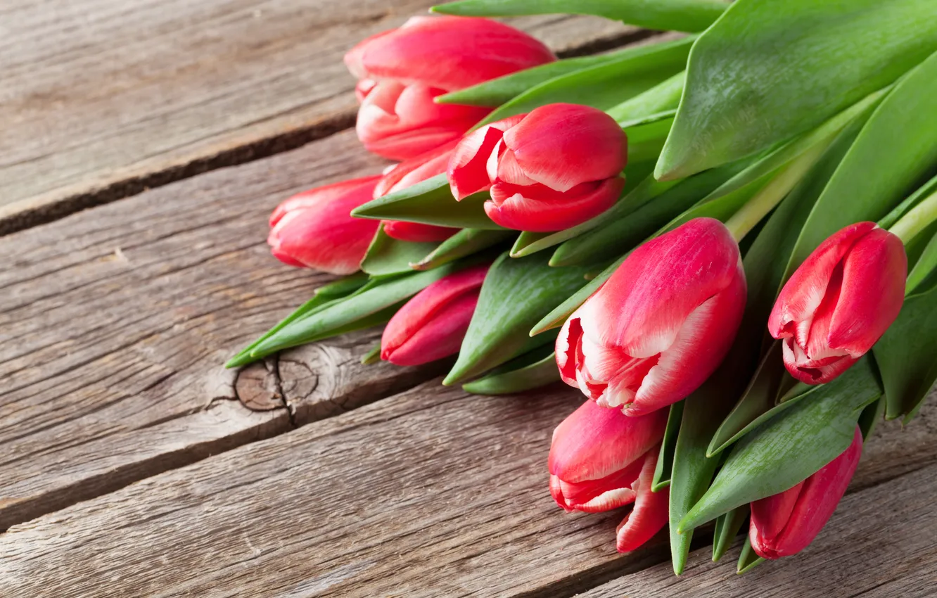 Фото обои цветы, букет, тюльпаны, красные, red, wood, flowers, tulips