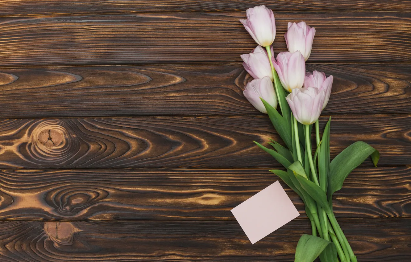 Фото обои тюльпаны, розовые, wood, pink, tulip, bouguet