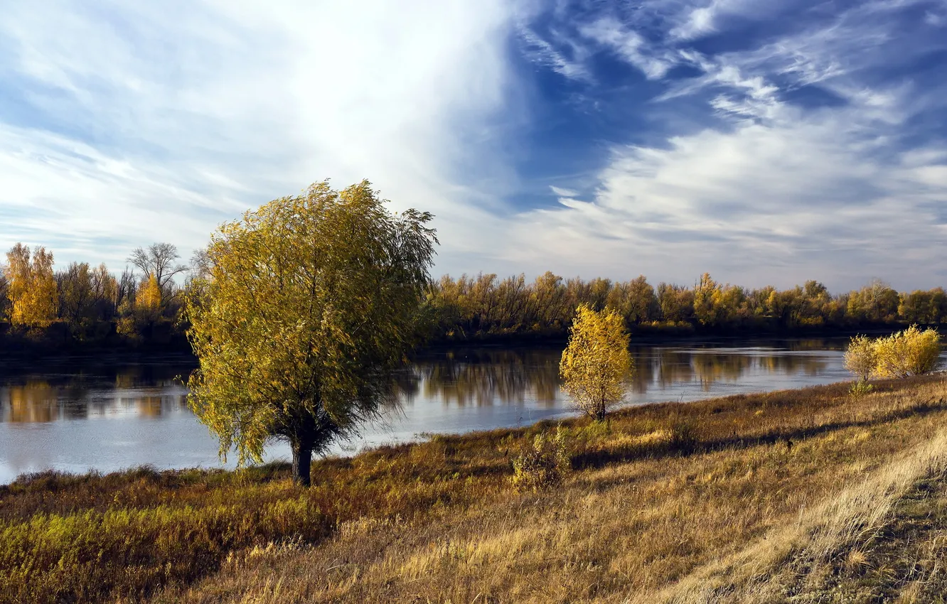 Фото обои поле, осень, пейзаж, река