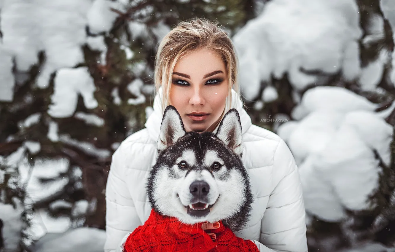 Фото обои зима, взгляд, морда, девушка, снег, портрет, собака, друзья