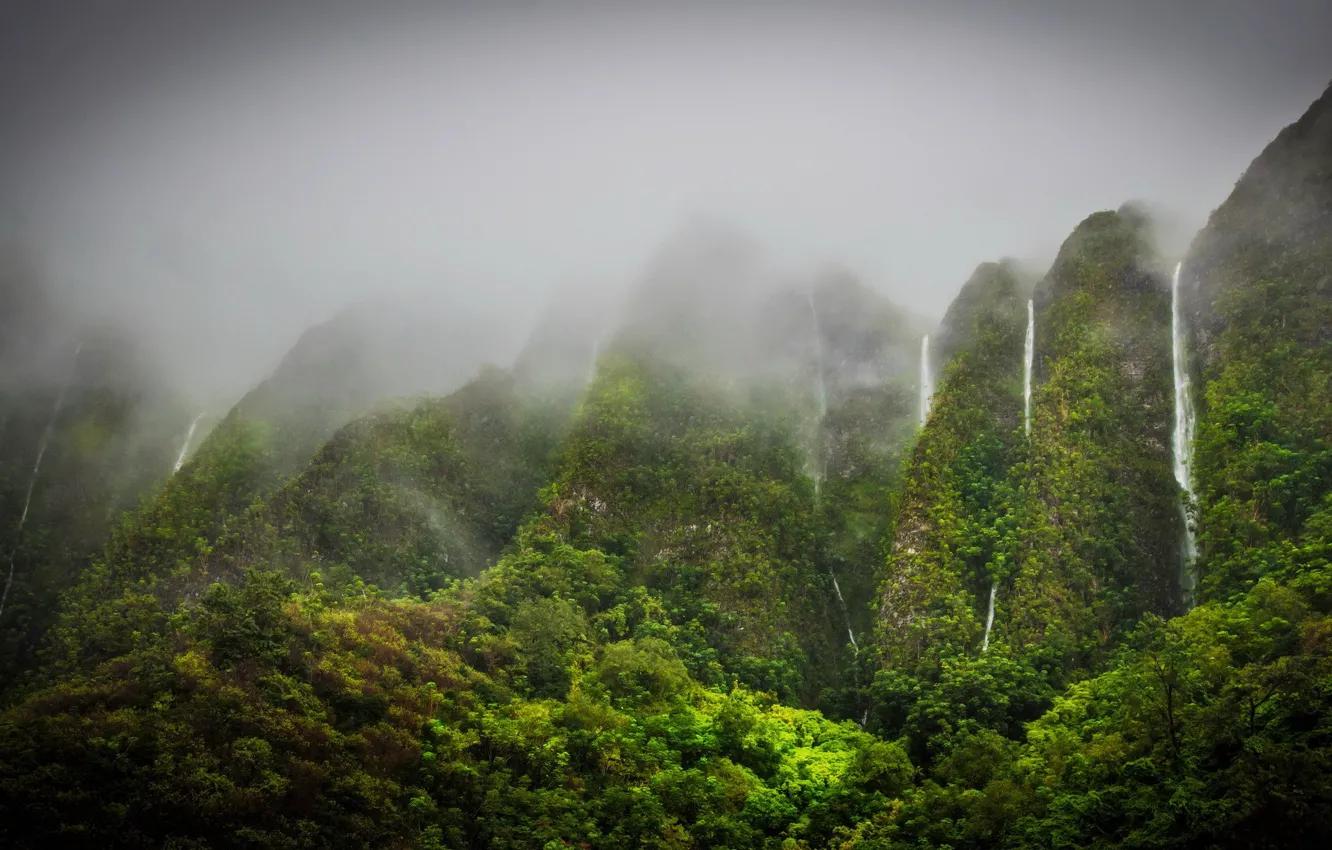 Фото обои горы, туман, растительность, водопады