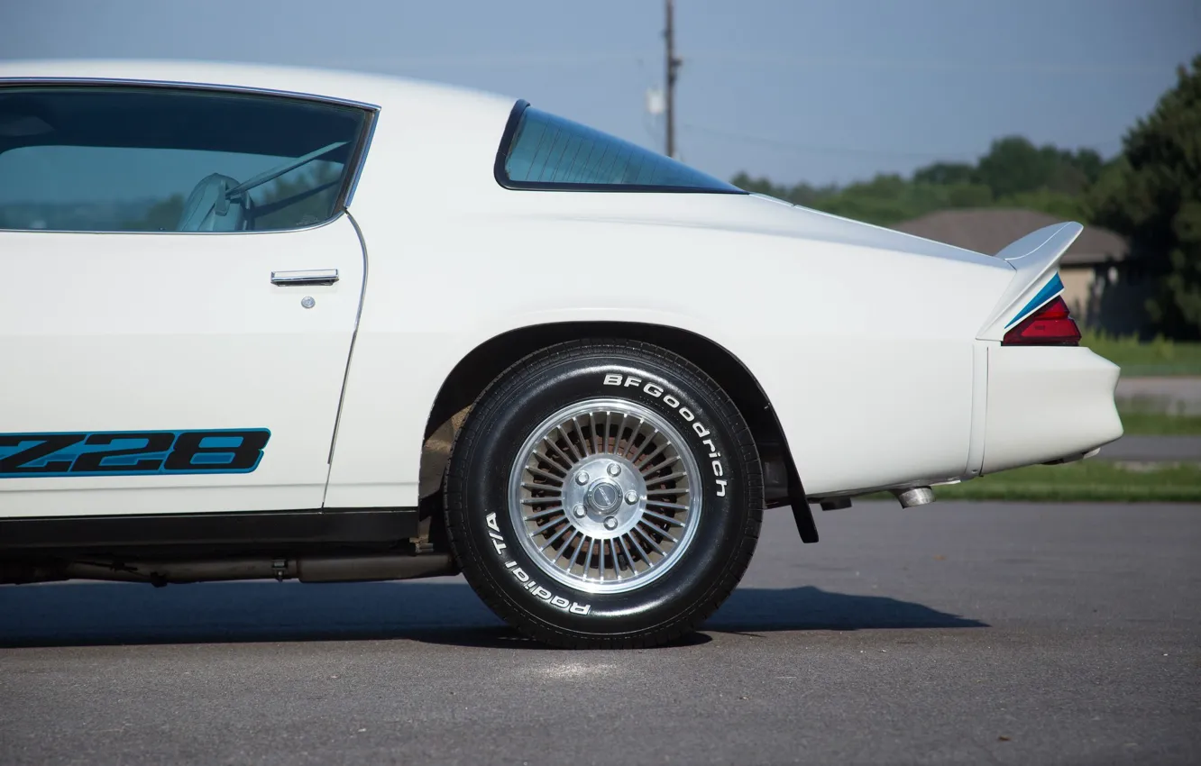 Фото обои camaro, chevrolet, z28, 1979