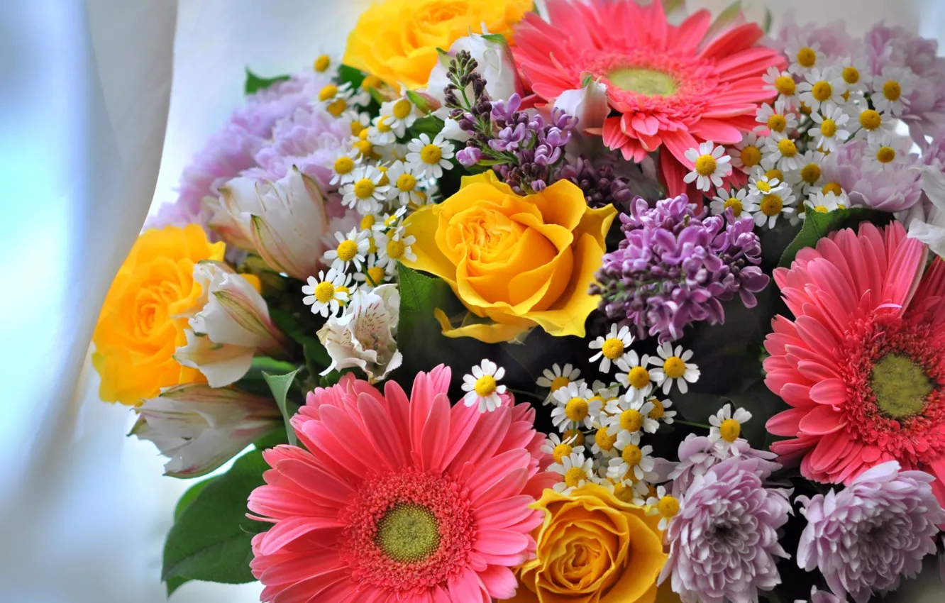 Фото обои розы, ромашки, букет, герберы, хризантемы, сирень, альстромерия