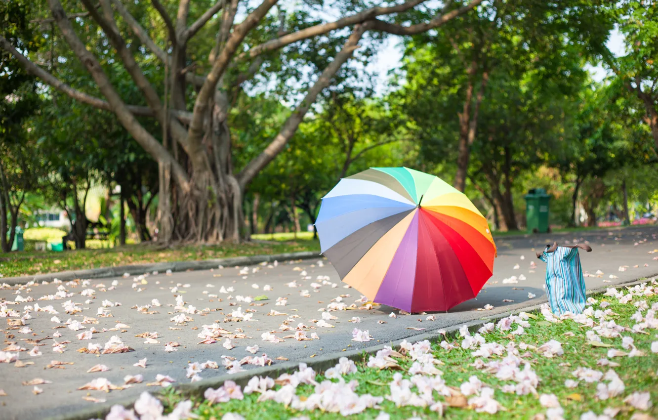 Фото обои лето, парк, зонт, colorful, rainbow, summer, umbrella, park