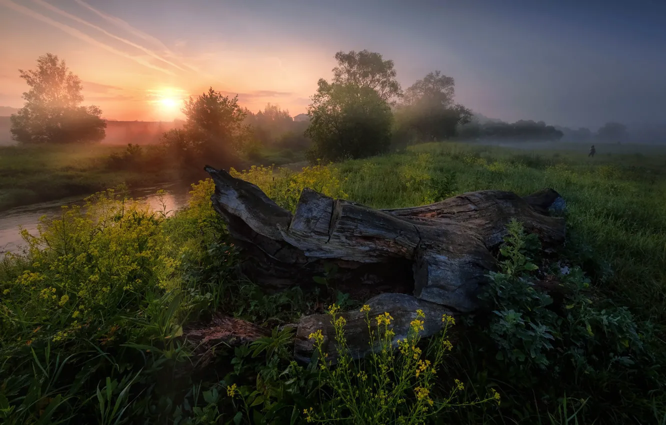 Фото обои лето, солнце, лучи, деревья, закат, природа, река, Россия