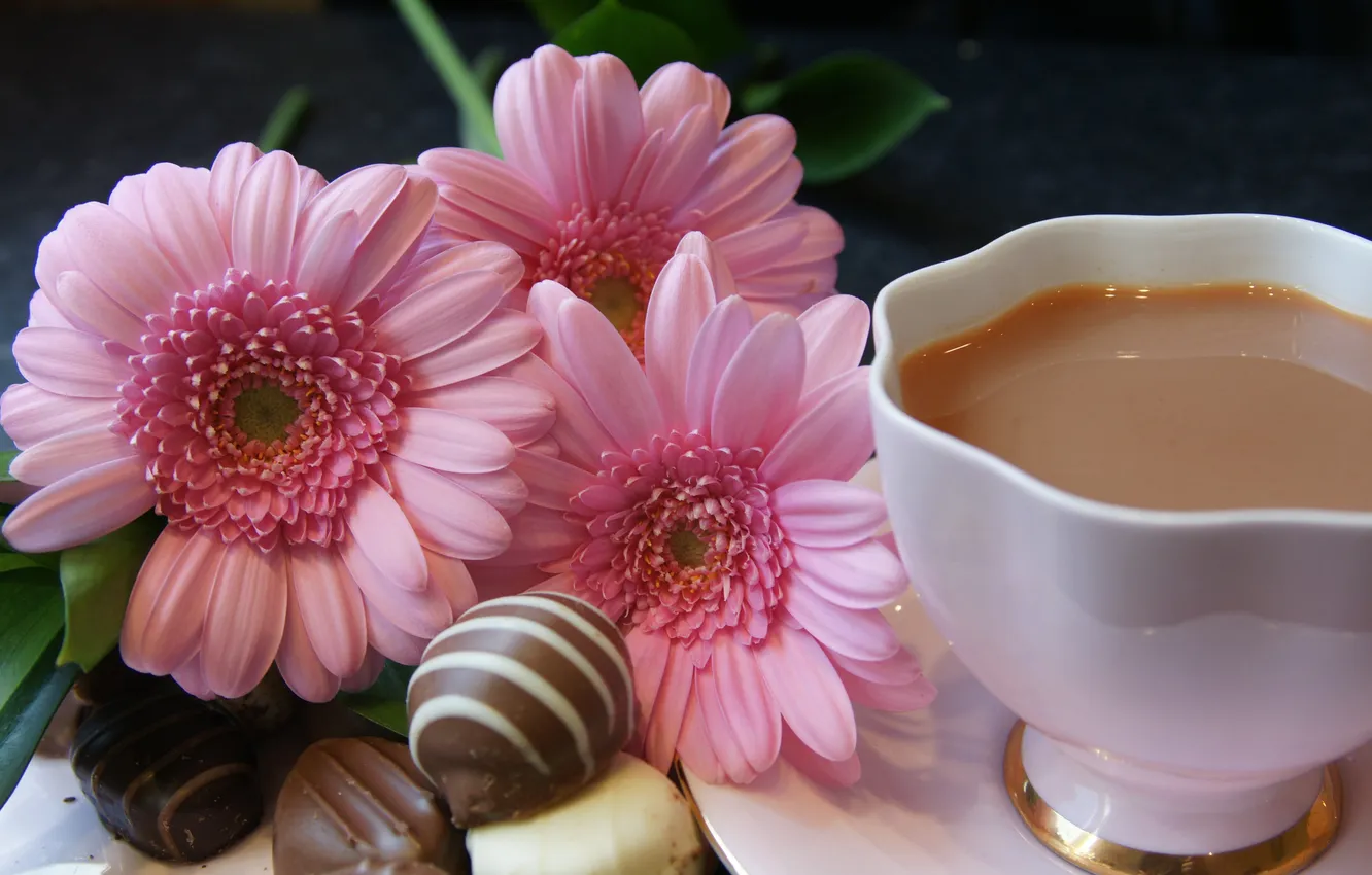 Фото обои цветы, чай, молоко, конфеты