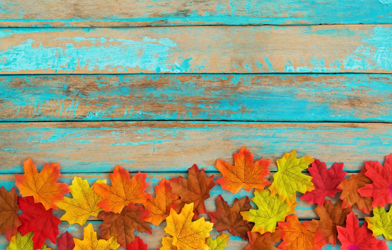 Фото обои осень, листья, фон, дерево, colorful, vintage, wood, background