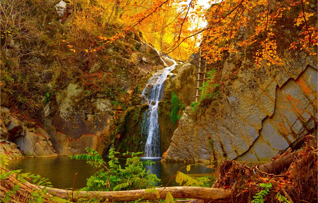 Фото обои Водопад, Осень, Fall, Autumn, Waterfall