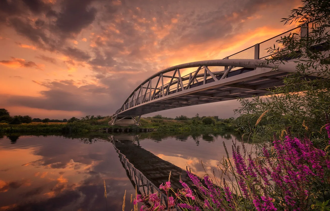 Фото обои цветы, мост, река