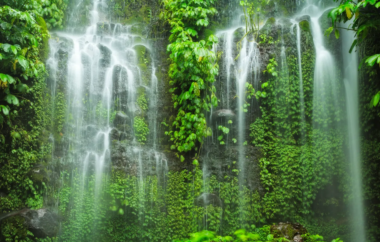 Фото обои лес, листья, камни, водопад