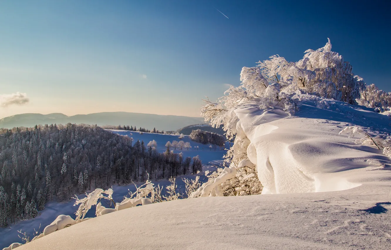 Фото обои зима, небо, снег, деревья, горы
