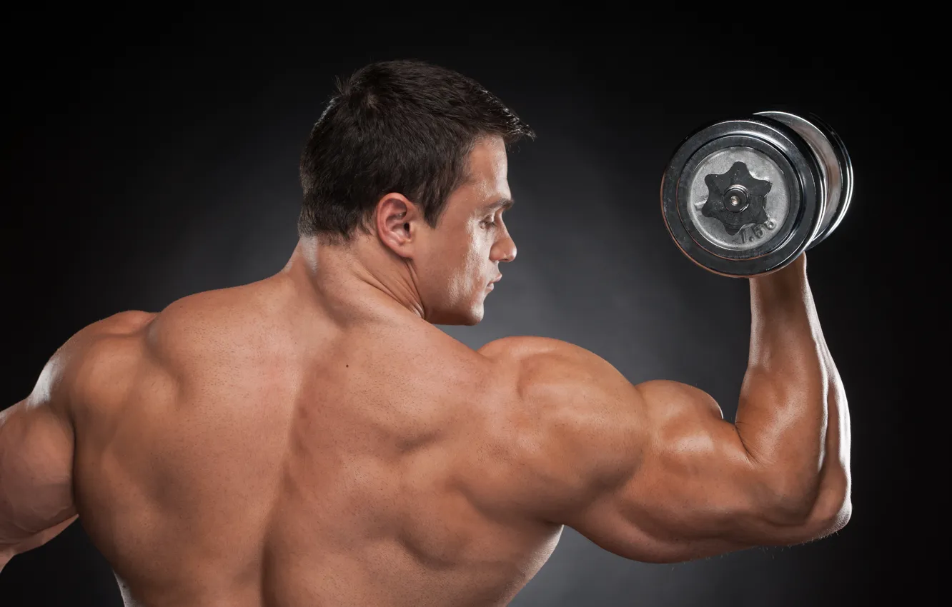 Фото обои man, back, muscular, shoulders, dumbbells, bodybuilder