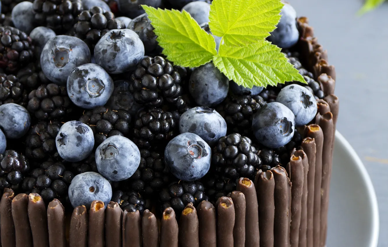 Фото обои макро, лист, ягоды, шоколад, черника, торт, ежевика