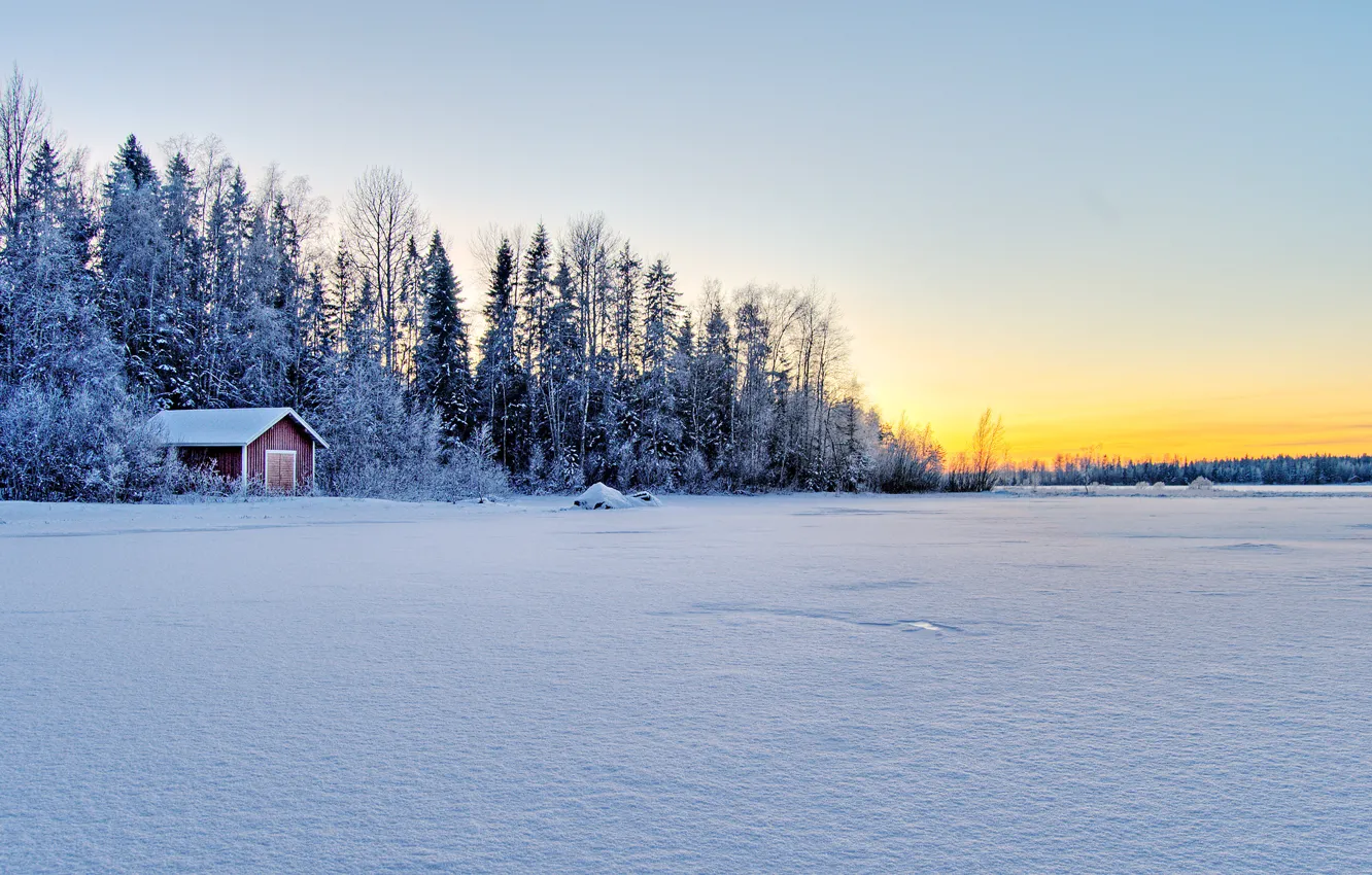 Фото обои зима, лес, домик, Winter