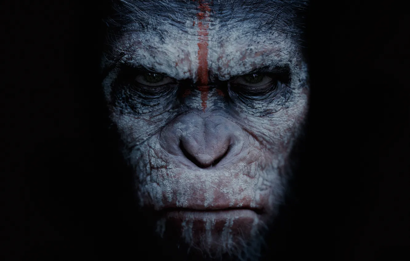 Фото обои cinema, movie, film, angry, Dawn of the Planet of the Apes, Cesar