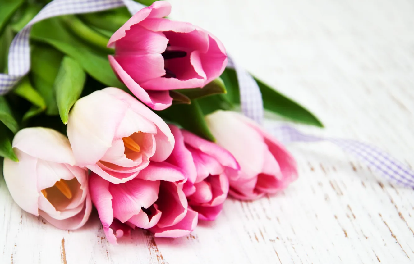 Фото обои цветы, букет, тюльпаны, розовые, бутоны, Olena Rudo