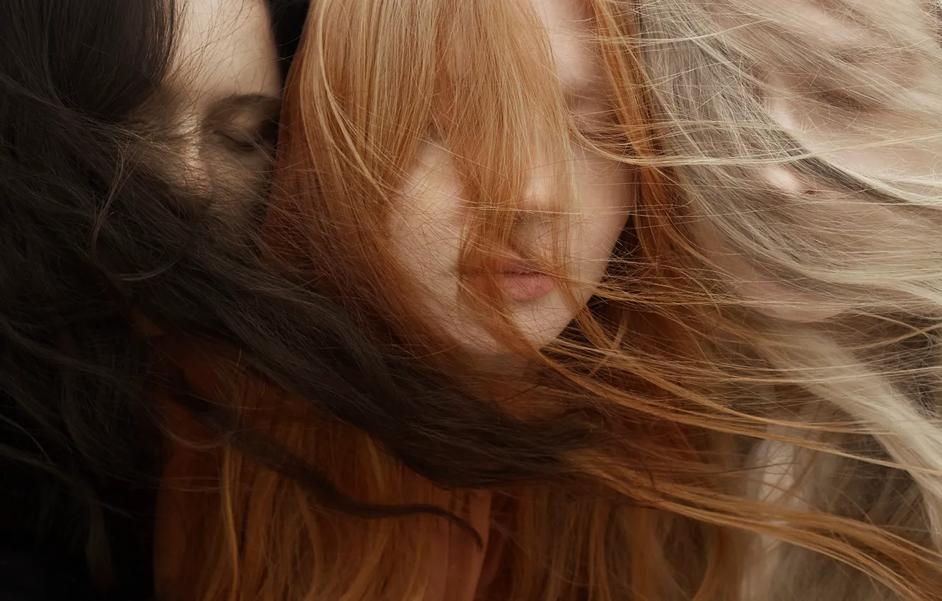 Фото обои девушки, ветер, волосы, Eva Milkonskaya, The Wind