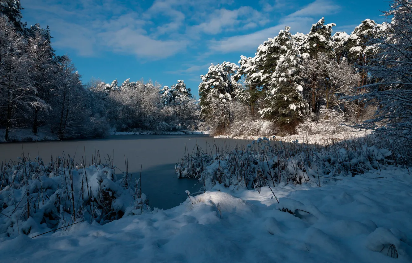 Фото обои зима, лес, небо, солнце, облака, снег, деревья, озеро
