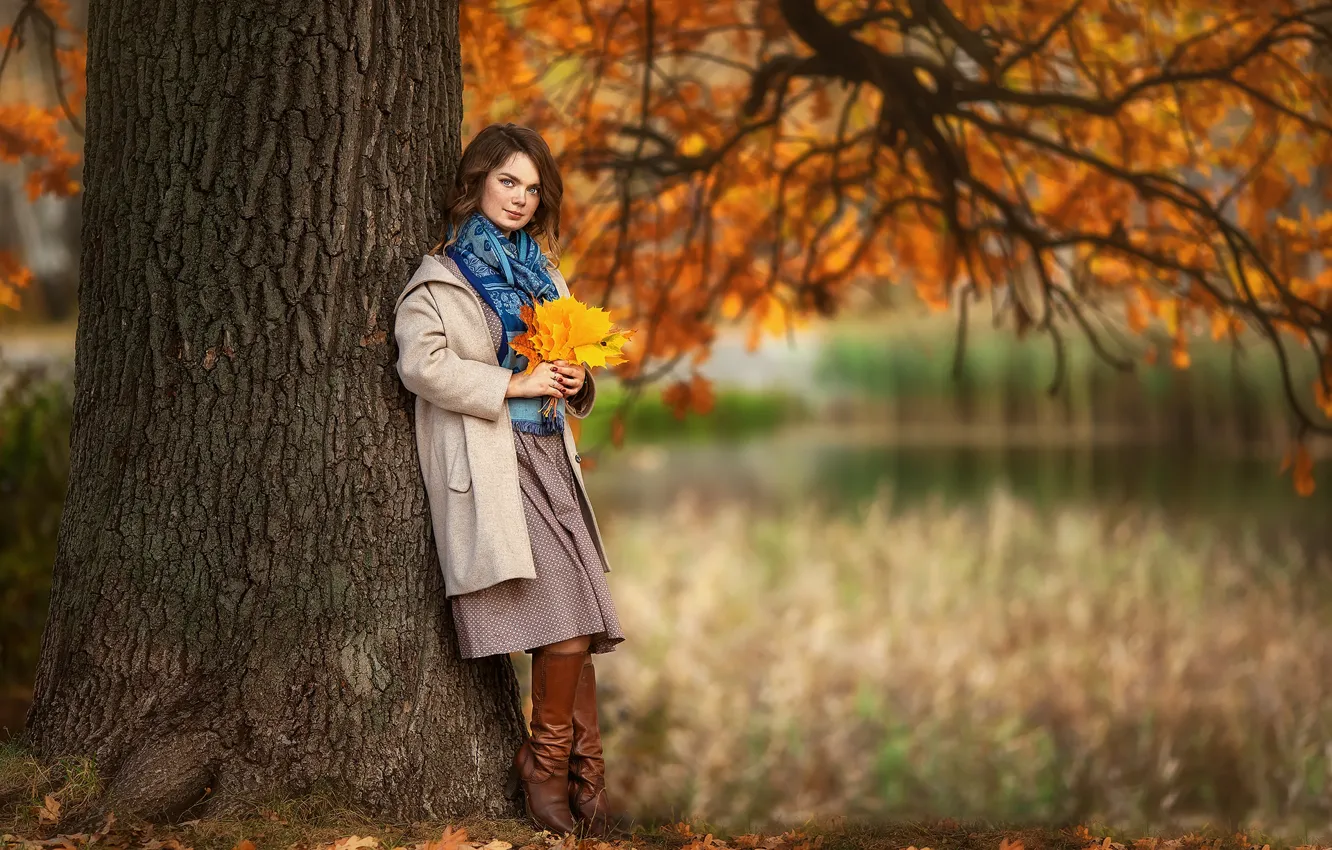 Фото обои осень, взгляд, листья, девушка, природа, поза, парк, дерево