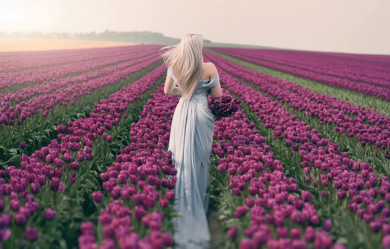 Фото обои поле, девушка, весна, тюльпаны
