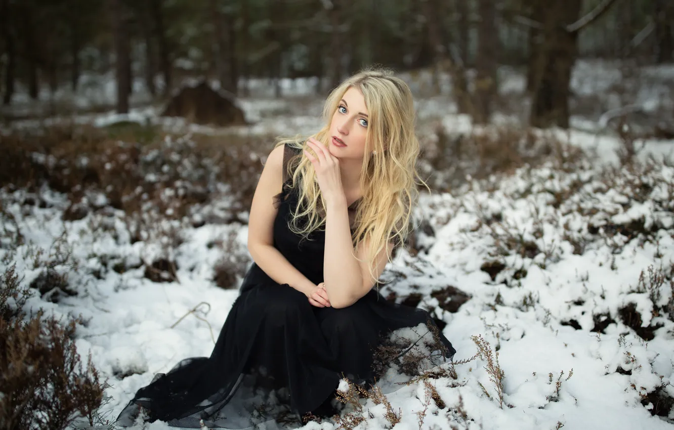 Фото обои девушка, снег, Lesley