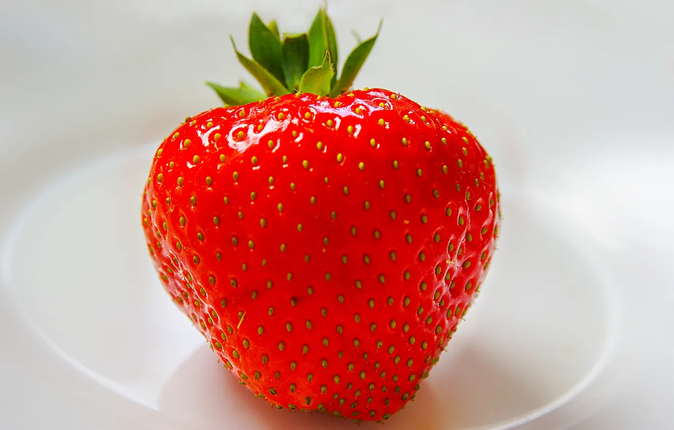 Фото обои fruit, sweet, plant, petal
